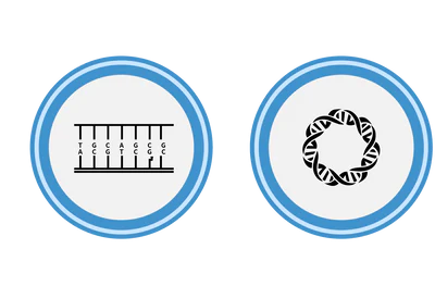 Bioinf Survey